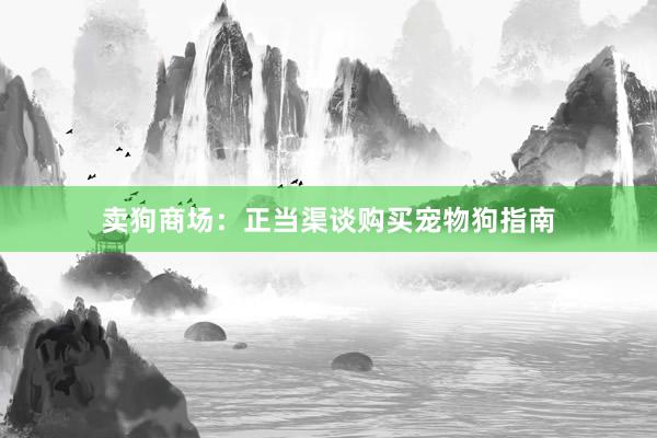 卖狗商场：正当渠谈购买宠物狗指南